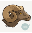 head of ram vector image