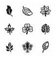 leaf icon set vector image