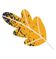 autumn leaf vector image
