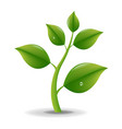 green sprout with water drop vector image vector image