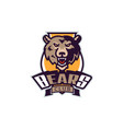 sports logo with bear mascot colorful sport vector image
