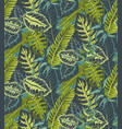 seamless pattern with tropical palm leaves vector image