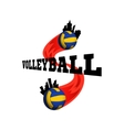 volleyball logo for the team and cup vector image