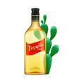 tequila realistic vector image