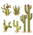 cactus plants set desert among stone cartoon vector image
