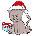 kitten with present on christmas vector image