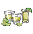 tequila drink detailed emblem colorful vector image vector image