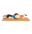 competition dog running contest fleeing hound vector image vector image