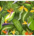 seamless pattern tropical palm leaves background vector image