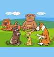 cartoon dogs and puppies characters group vector image vector image