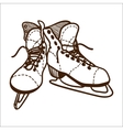 ice skates isolated on white vector image