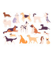 flat dogs and puppies big and small breed types vector image vector image