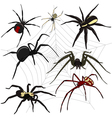 spider set vector image vector image