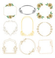 beautiful arch frame with flower vector image vector image