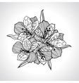 black macro orchid flower isolated vector image vector image