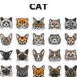 cat cute pet animal kitten funny icons set vector image
