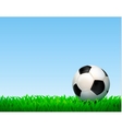 football ball composition vector image vector image