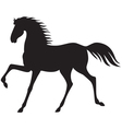 horse vector image vector image