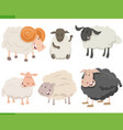 cartoon funny sheep farm animal characters set vector image