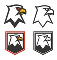 eagle head on background from shield design vector image