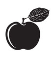 apple vector image vector image