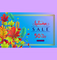 fashionable autumn sale vector image vector image