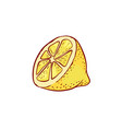 lemon citrus cut fruit sketch contour vector image