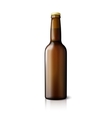 blank brown realistic beer bottle isolated vector image