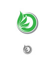 letter o leaf vector image