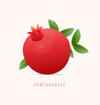 pomegranate fruit modern style vector image
