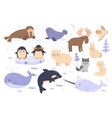 set cute animals arctic and antarctic vector image