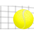 tennis ball and net vector image vector image