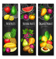 tropical and garden fruit chalkboard banner set vector image vector image