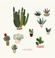different cacti and succulents in pots on a white vector image