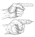 pointing cat paw and human hand vintage vector image vector image