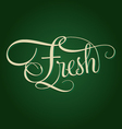 fresh handmade calligraphy vector image