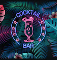 neon sign cocktail bar on tropic background vector image
