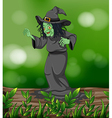 a scary witch above trunk vector image vector image