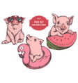 collection hand drawn colored pigs vector image