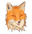 head fox isolate on a white background vector image