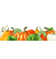 realistic pumpkin border vector image vector image