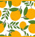 seamless pattern with hand drawn orange fruit vector image