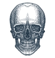 skull logo design template fresh death vector image
