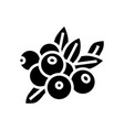 cranberry berry glyph icon vector image