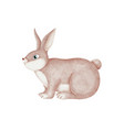 hand-drawn pink rabbit on a white background vector image