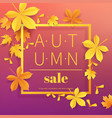 autumn sale vintage typography poster with gold vector image