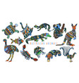colorful tribal set of australian animals vector image