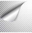 paper page with curled corner and shadow template vector image
