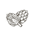 artichoke vegetable vector image