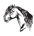 decorative portrait of horse 10 vector image